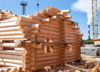 Дом из бревна: достоинства и технология строительства