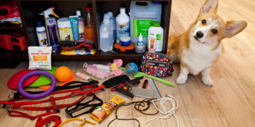 Игрушки для щенка: разновидности и советы по выбору