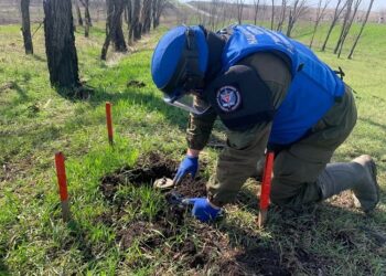 Поиск и разминирование взрывоопасных предметов (ВОП)