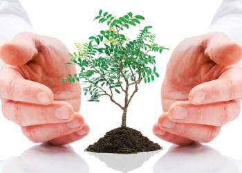 Экологическое страхование: достоинства, понятие и суть