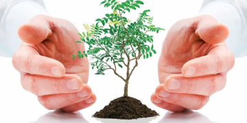 Экологическое страхование: достоинства, понятие и суть