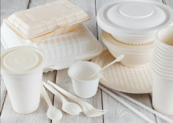 Літнє кафе: який одноразовий посуд треба купити