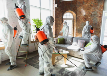 Как правильно подойти к выполнению дезинсекции помещения