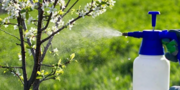 Як обирати засоби захисту рослин: на що звернути увагу