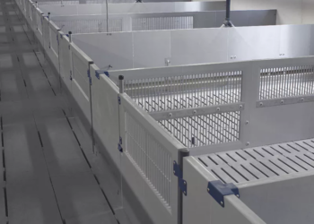 Двері для свинарників: як обрати ідеальне рішення для вашого господарства