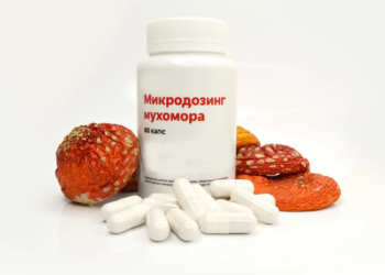 Мухомор микродозинг: понятие и применение