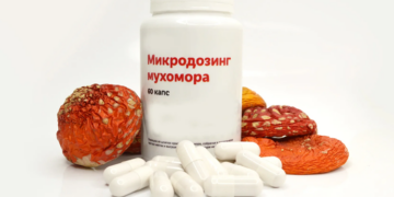 Мухомор микродозинг: понятие и применение