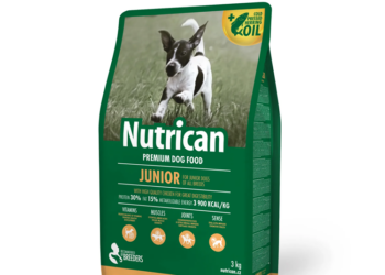 Корм для собак от Nutrican: достоинства и рекомендации по выбору