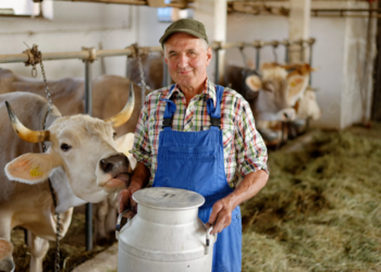 Регистрация фермерского хозяйства: требования и особенности