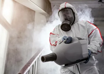 Дезинсекция: понятие, правила и технологии