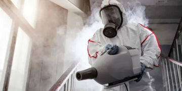 Дезинсекция: понятие, правила и технологии