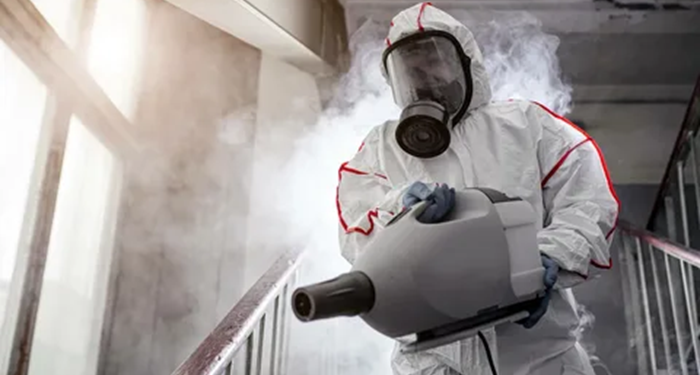 Дезинсекция: понятие, правила и технологии