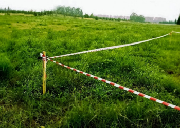 Вынос в натуру границы участка: зачем нужен и как проходит процесс