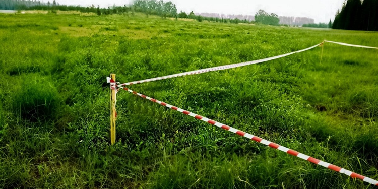 Вынос в натуру границы участка: зачем нужен и как проходит процесс