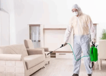 Дезинфекция в квартире: что нужно знать, правила и советы