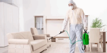 Дезинфекция в квартире: что нужно знать, правила и советы