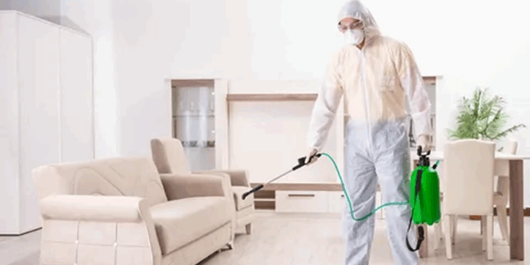 Дезинфекция в квартире: что нужно знать, правила и советы