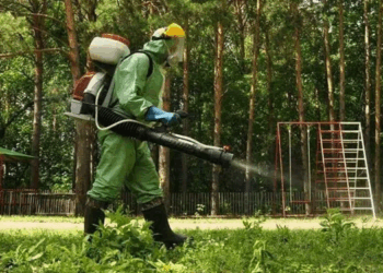 Обработка от клещей помещений и несколько важных правила