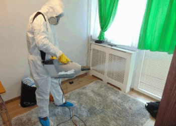 Современные методики уничтожения тараканов и несколько советов