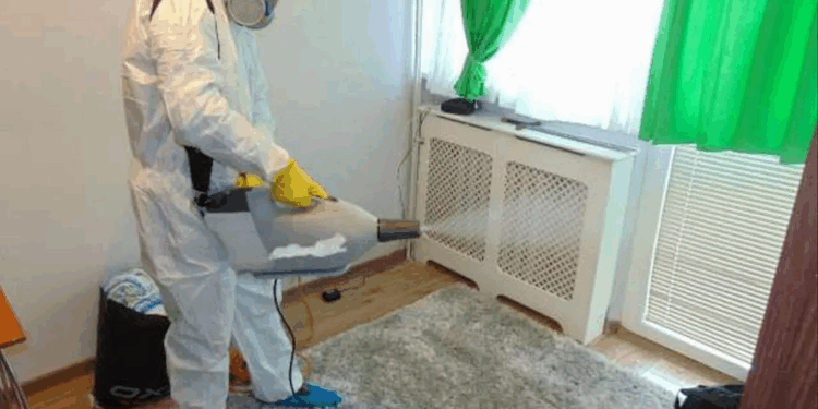 Современные методики уничтожения тараканов и несколько советов