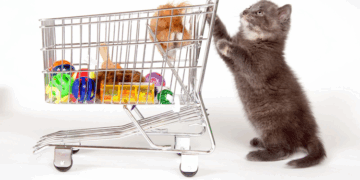 Содержание домашних животных: что нужно знать и советы