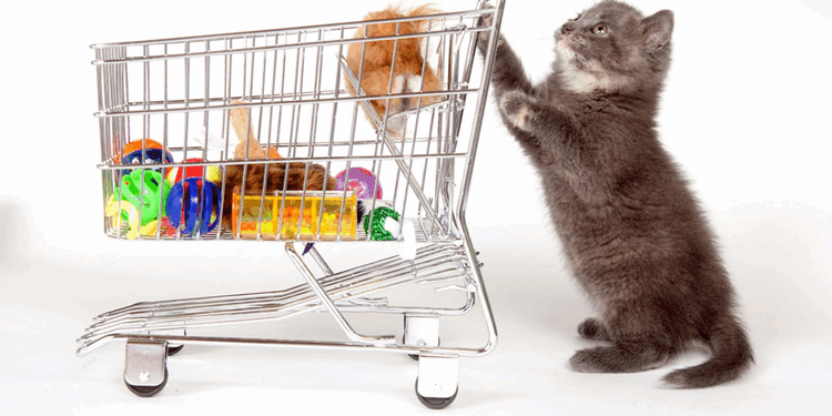 Содержание домашних животных: что нужно знать и советы