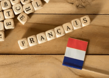 Особенности изучения французского языка и его преимущества