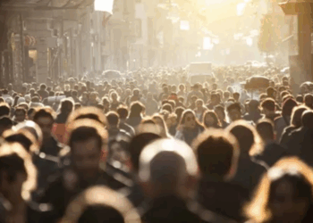 Новые регионы в правовом поле: как проходит интеграция