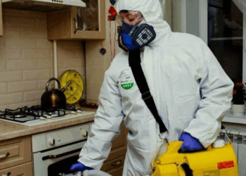 Уничтожение насекомых: техники, способы и методики