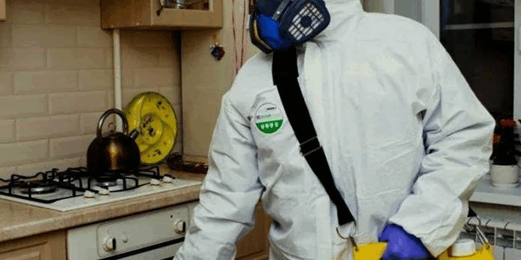 Уничтожение насекомых: техники, способы и методики