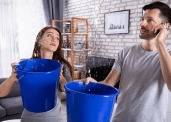 Залив соседей: правила и важные советы