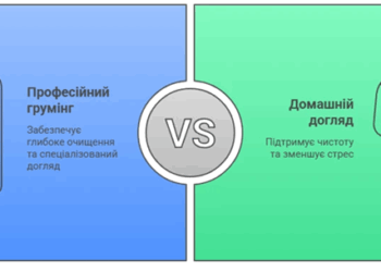 Професійний грумінг чи домашній догляд: що обрати