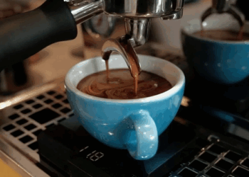 Этапы в приготовлении кофе: что нужно знать