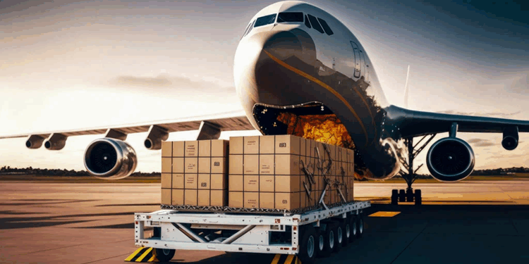 Перевозки в самолете: правила, требования и рекомендации