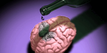 Как влияет алкоголь на умственные способности человека