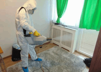 Уничтожение тараканов в квартире: правила, требования и нюансы