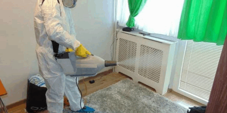 Уничтожение тараканов в квартире: правила, требования и нюансы