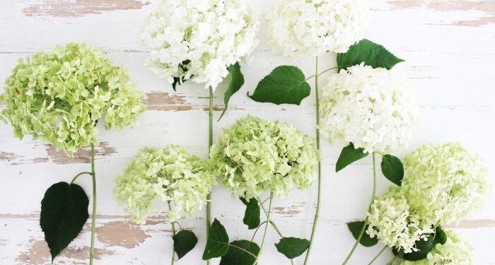 Идеи оформления букета из гортензий: сочетания цветов и декоративные элементы