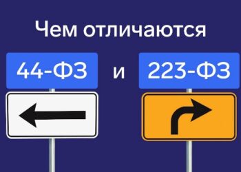 44-ФЗ и 223-ФЗ: руководство для поставщиков государственных и корпоративных закупок