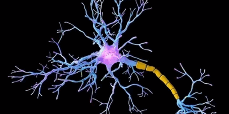 Рассеянный склероз: симптомы у женщин и чем может опасно