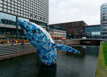 Что нужно знать о регистрации фирмы в Голландии и правила