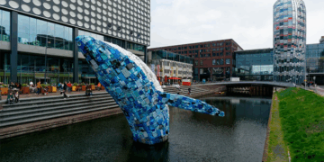 Что нужно знать о регистрации фирмы в Голландии и правила