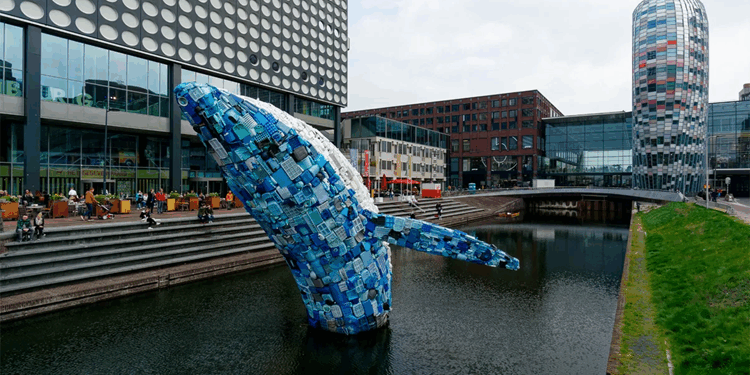 Что нужно знать о регистрации фирмы в Голландии и правила