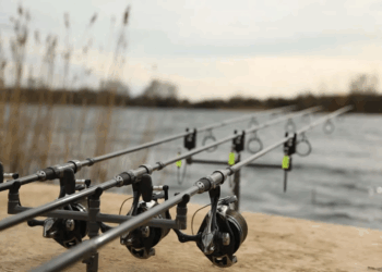 Карповая рыбалка: современное искусство и рекомендации