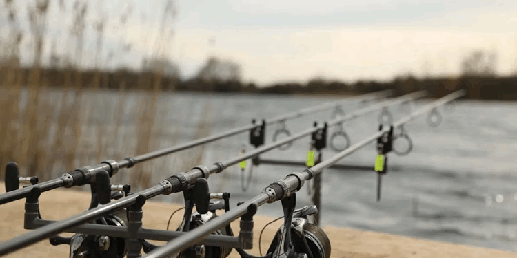 Карповая рыбалка: современное искусство и рекомендации