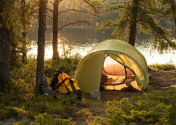 Тишина и утро среди хвои: как найти спокойствие в современном мире