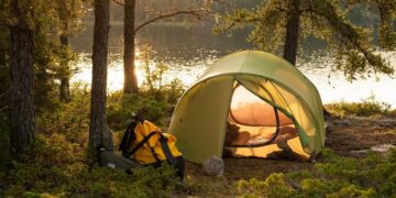 Тишина и утро среди хвои: как найти спокойствие в современном мире