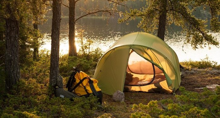 Тишина и утро среди хвои: как найти спокойствие в современном мире