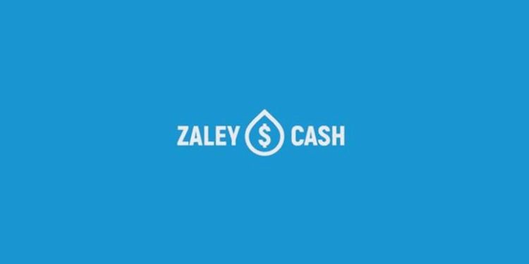 Пополнение рекламных сетей от сервиса ZaleyCash: достоинства и правила