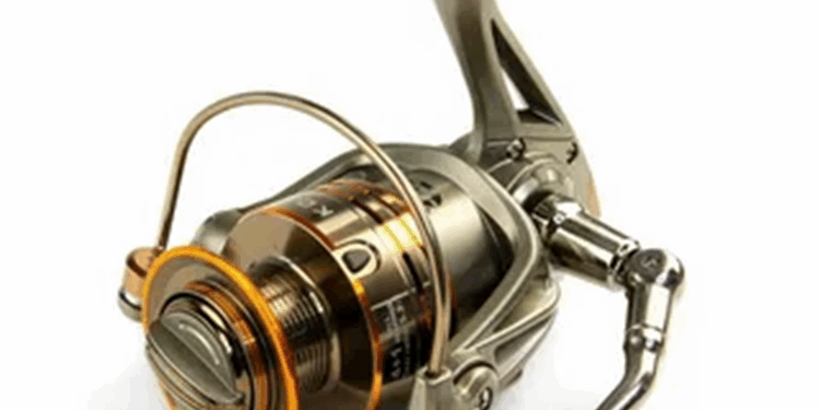 Обзор видов рыболовных катушек и советы по их правильному выбору